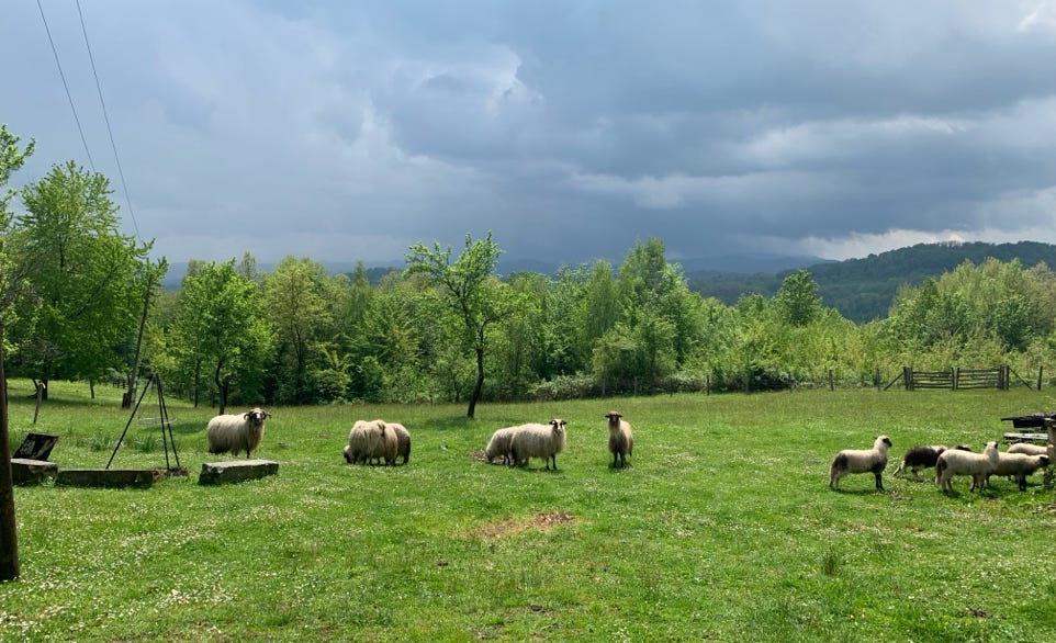 Kostenloses Stock Foto zu Ã–ffentliches gebiet, anstellung, arbeit